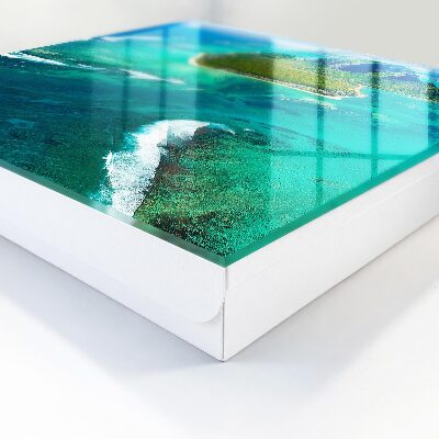 Key storage box Tropical paradise