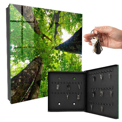Key box Forest Sky