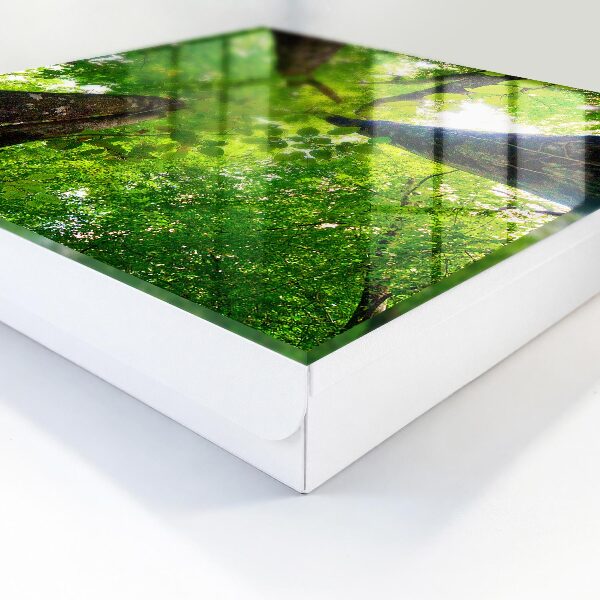 Key box Forest Sky