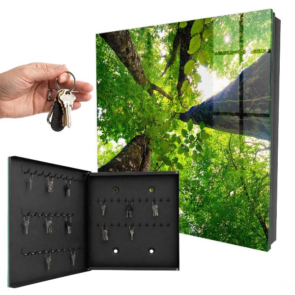 Key box Forest Sky