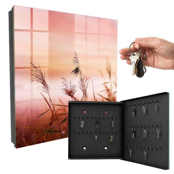 Key storage box Grasses at dawn