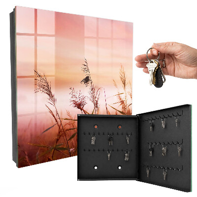 Key storage box Grasses at dawn