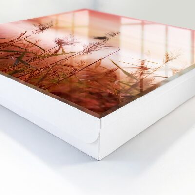 Key storage box Grasses at dawn