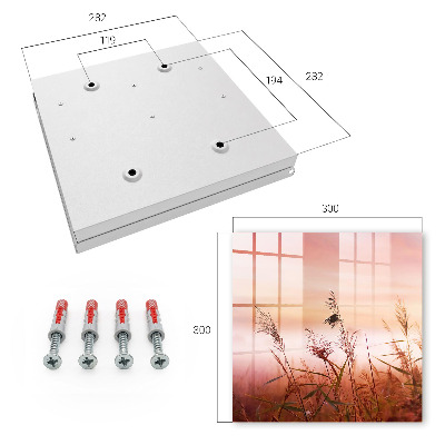 Key storage box Grasses at dawn