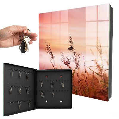 Key storage box Grasses at dawn