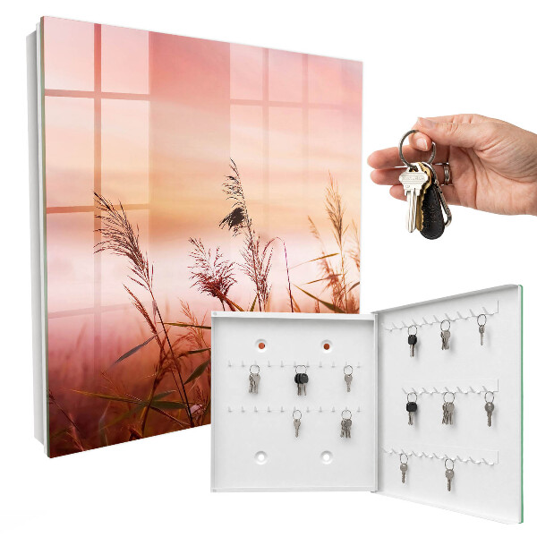 Key storage box Grasses at dawn