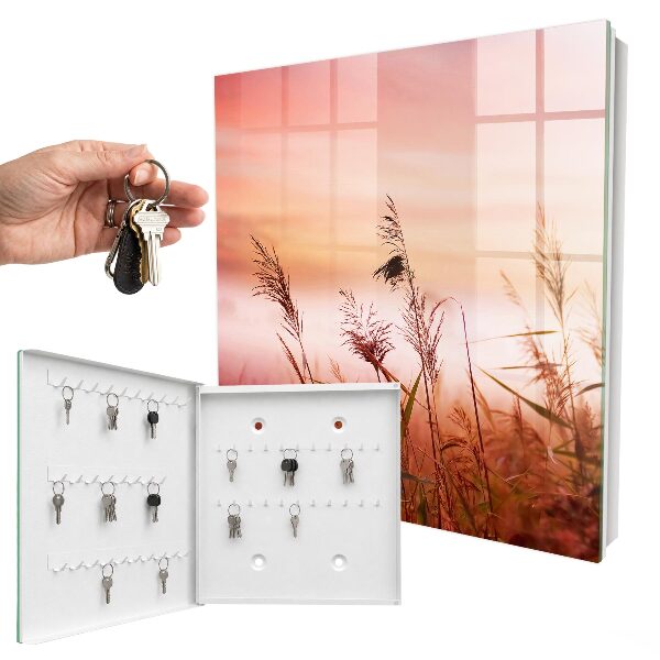 Key storage box Grasses at dawn