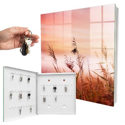 Key storage box Grasses at dawn
