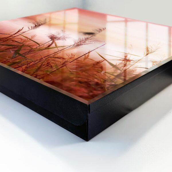 Key storage box Grasses at dawn