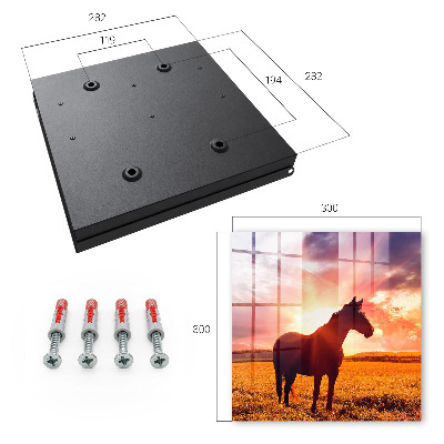 Key storage box Horse in the sun