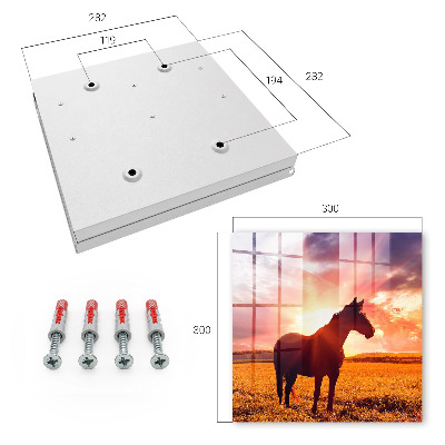 Key storage box Horse in the sun