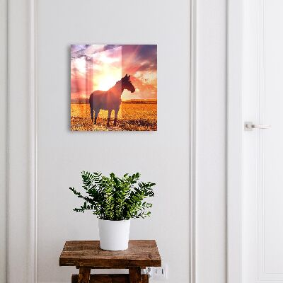 Key storage box Horse in the sun