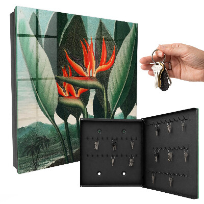 Key box Exotic nature