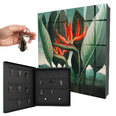 Key box Exotic nature