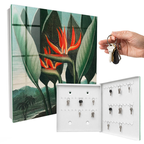 Key box Exotic nature