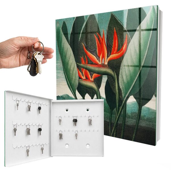 Key box Exotic nature