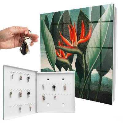 Key box Exotic nature