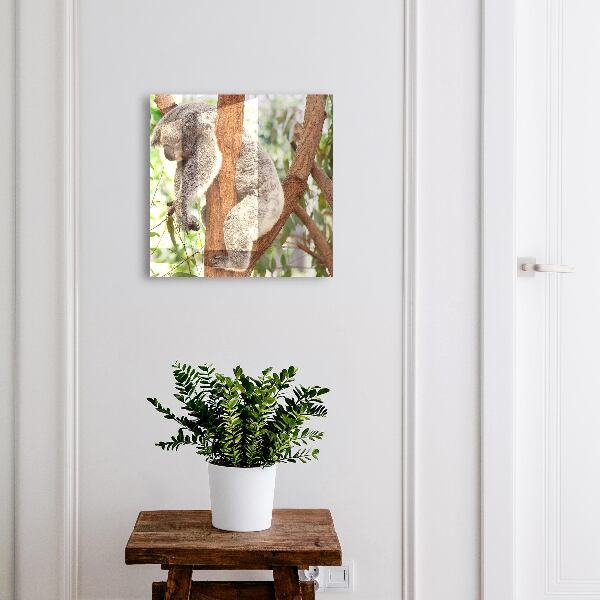 Key cabinet for wall Koala Relaxation