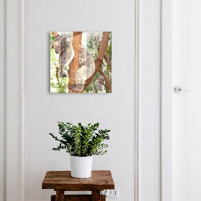 Key cabinet for wall Koala Relaxation