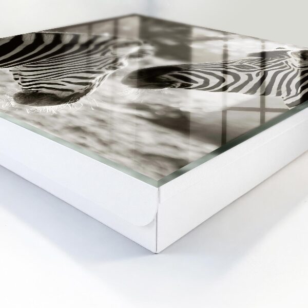 Key storage box Zebras together