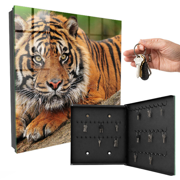 Key storage box The tiger is resting