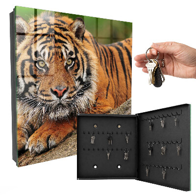 Key storage box The tiger is resting