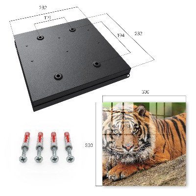 Key storage box The tiger is resting