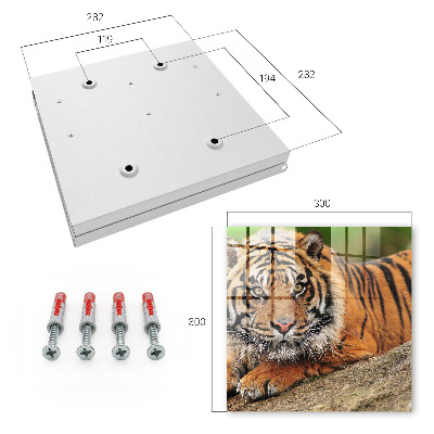 Key storage box The tiger is resting