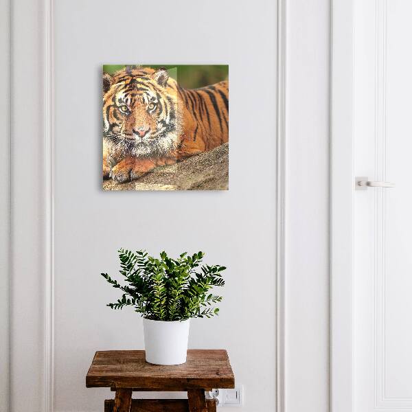 Key storage box The tiger is resting