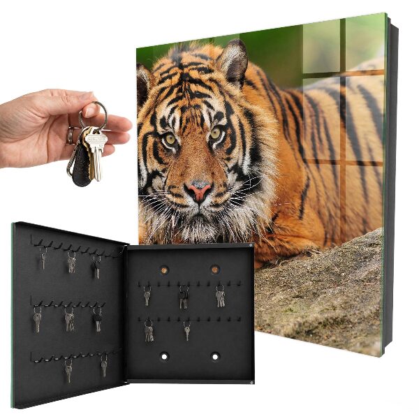 Key storage box The tiger is resting