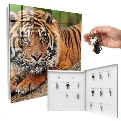 Key storage box The tiger is resting