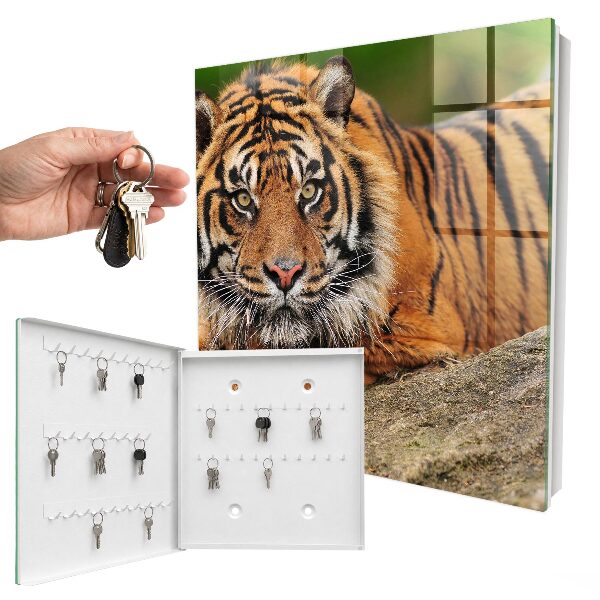 Key storage box The tiger is resting
