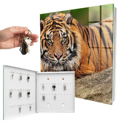 Key storage box The tiger is resting