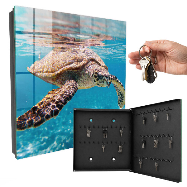 Key box Underwater world