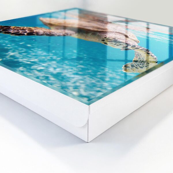 Key box Underwater world