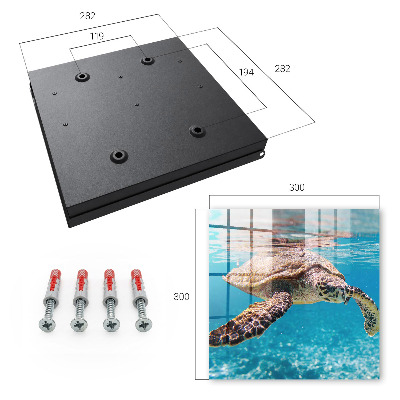 Key box Underwater world