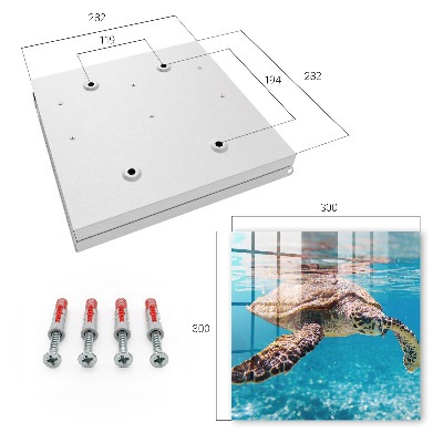 Key box Underwater world
