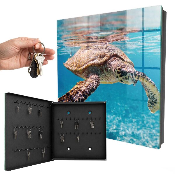 Key box Underwater world