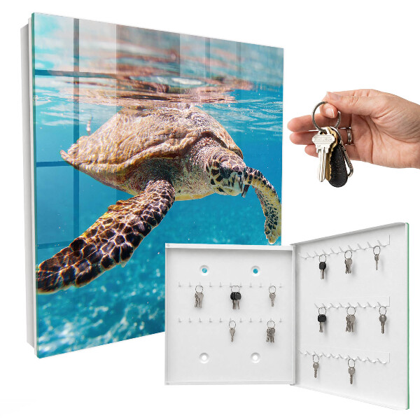 Key box Underwater world