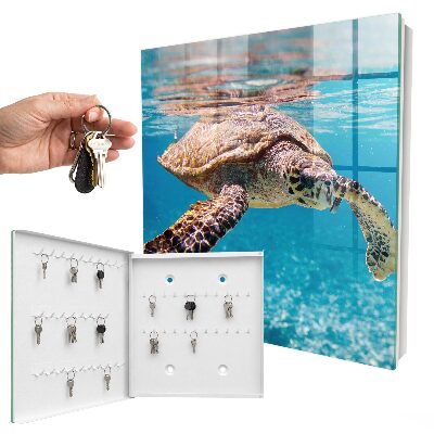 Key box Underwater world