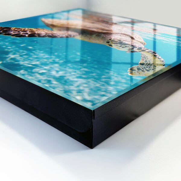 Key box Underwater world