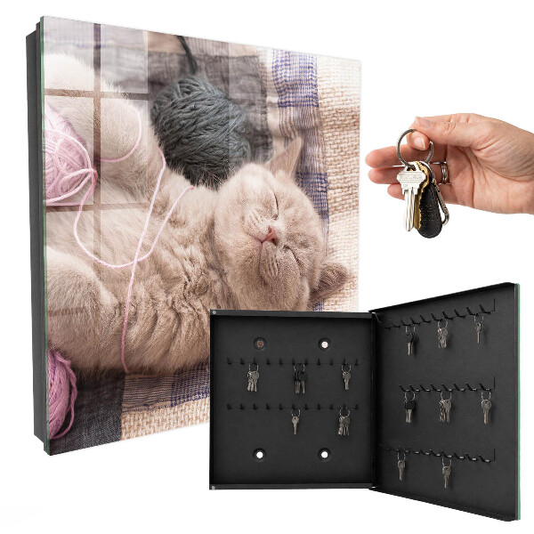 Key cabinet for wall Sleeping kitten
