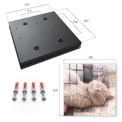 Key cabinet for wall Sleeping kitten