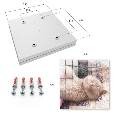 Key cabinet for wall Sleeping kitten