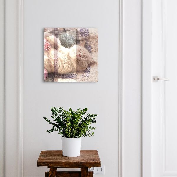 Key cabinet for wall Sleeping kitten