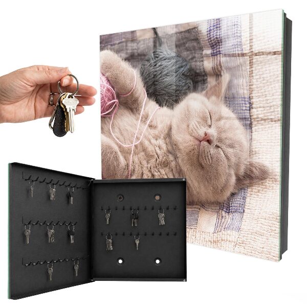 Key cabinet for wall Sleeping kitten