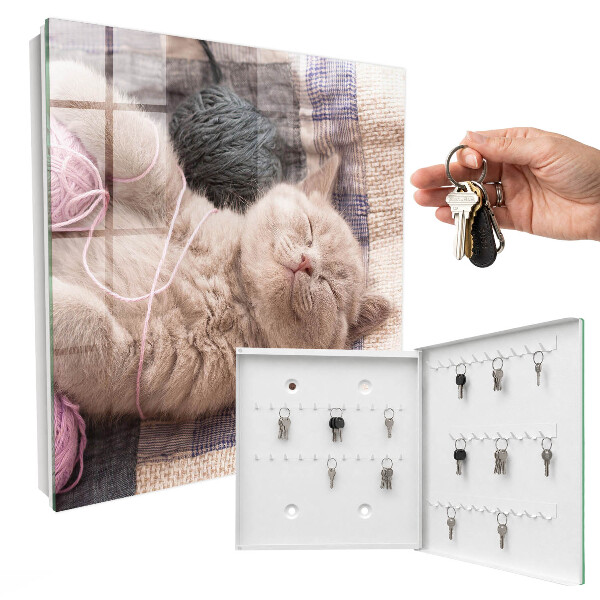 Key cabinet for wall Sleeping kitten