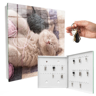 Key cabinet for wall Sleeping kitten