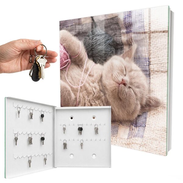 Key cabinet for wall Sleeping kitten