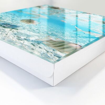 Key cabinet for wall Aquatic life